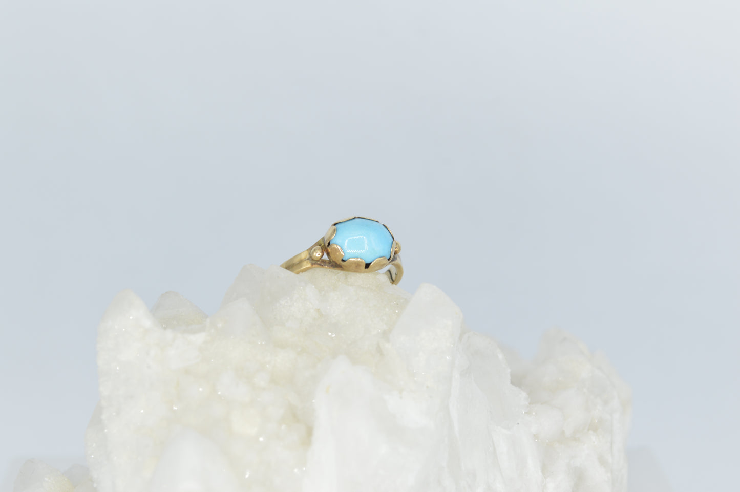 Turquoise Bean