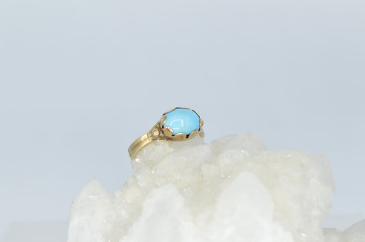 Turquoise Bean